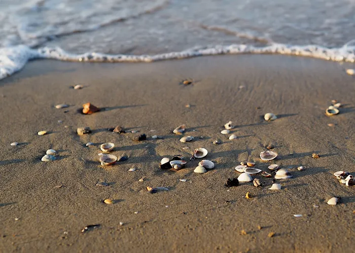 Comfortable Family With Swimming Pool Bibione